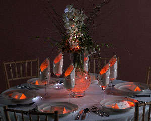 LED SUBMERSABLE TEA LIGHT - Floralytes